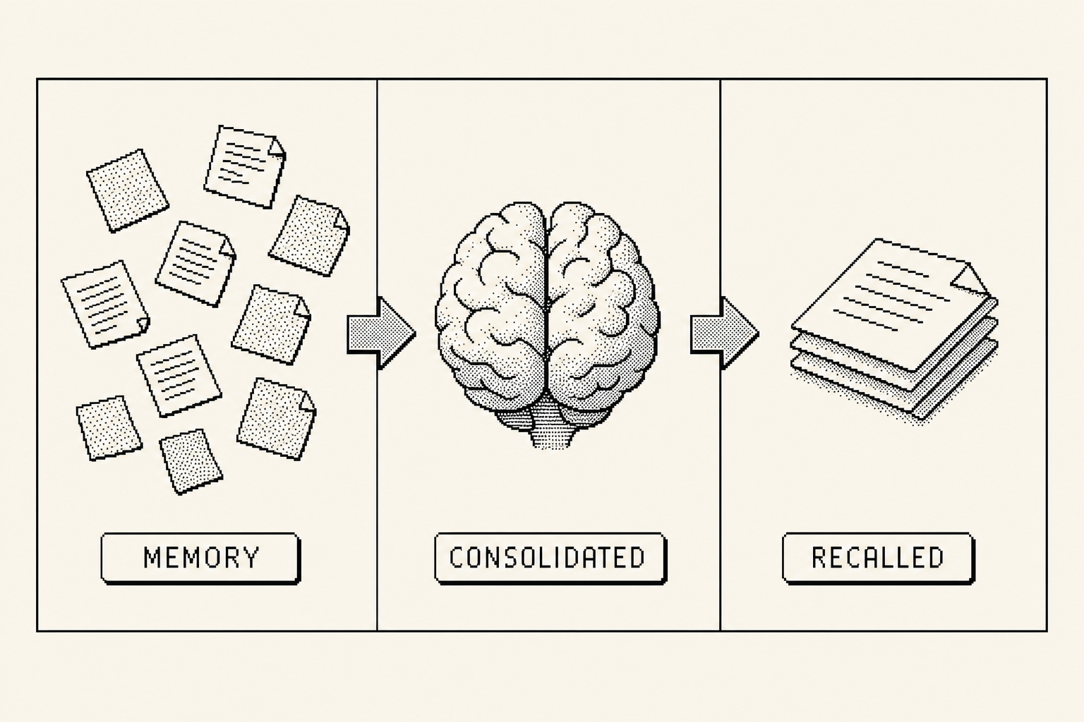 Remember, consolidate, recall
